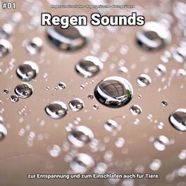 Album cover of #01 Regen Sounds zur Entspannung und zum Einschlafen auch für Tiere