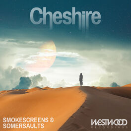 Album cover of Smokescreens & Somersaults