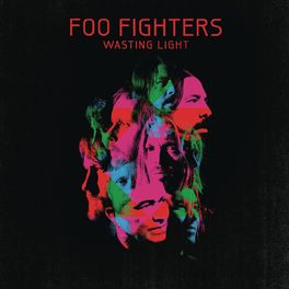 Album cover of Wasting Light