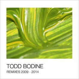 Album cover of Todd Bodine Remixes 2009 - 2014