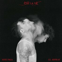 Album cover of C'EST LA VIE