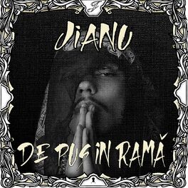 Album cover of De Pus In Ramă