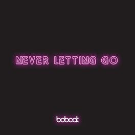 Album cover of Never Letting Go (feat. James Harris)