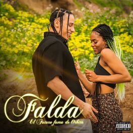 Album cover of Falda