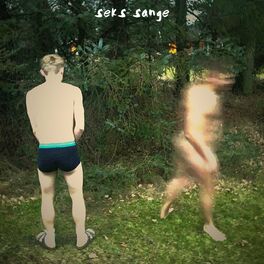 Album cover of Seks Sange