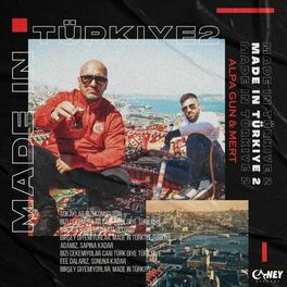 Album cover of Made in Türkiye 2