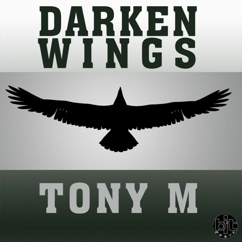 Wings слова. Wanted Dark Wing. , Home Dark Wing you.