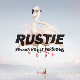 Album cover of Green Language (The Swisha House Edits)