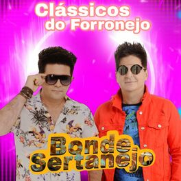 Album cover of Clássicos do Forronejo