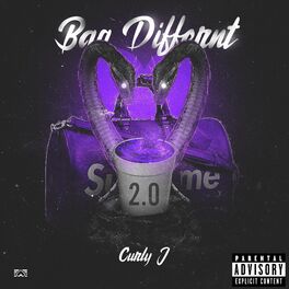 Album cover of Bag Different 2.0