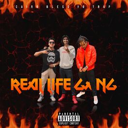 Album cover of Real Life Gang