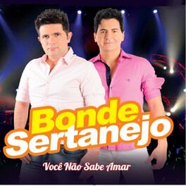 Album cover of Você Não Sabe Amar
