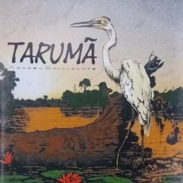 Album cover of Tarumã