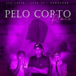 Album cover of Pelo Corto Remix (feat. Alex Vi & Dewonder)