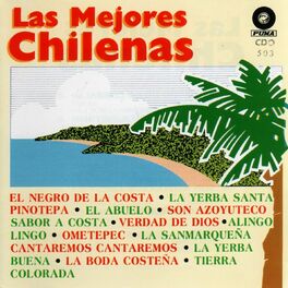 Album cover of Las Mejores Chilenas