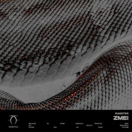 Album cover of ZMEI