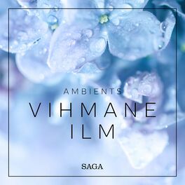 Album cover of Ambients - Vihmane ilm
