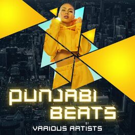 Album cover of Punjabi Beats