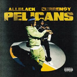 Album cover of Pelicans