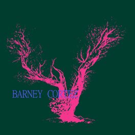 Album cover of Salma (Barney Cortez Remix)