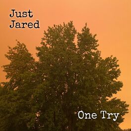 Album cover of One Try
