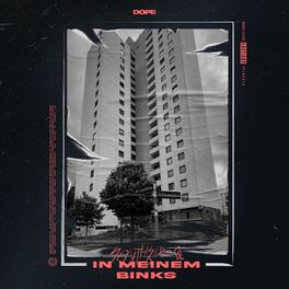Album cover of In meinem Binks