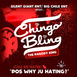 Chingo Bling Pos Why Ju Hating Call Me Maybe Parody Lyrics And Songs Deezer