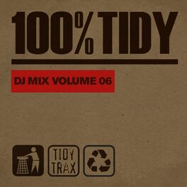 Album cover of 100% Tidy, Vol. 6