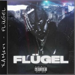 Album cover of FLÜGEL
