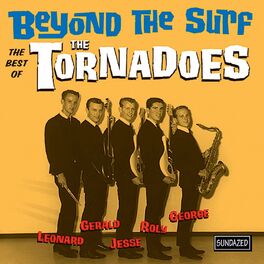 Album cover of Beyond the Surf - Best of