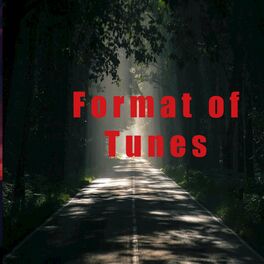 Album cover of Format of Tunes