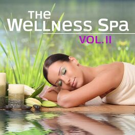 Album cover of The Wellness Spa, Vol. 2 (Soft Instrumental Piano Music for Meditation, Relaxation, Massage, Stress Relief, Sound Therapy, He