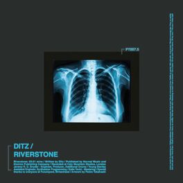 Album cover of Riverstone (BABii Destruction Remix)