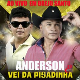 Album cover of Ao Vivo em Brejo Santo
