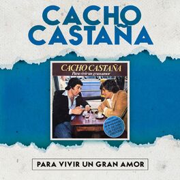 Album cover of Para Vivir un Gran Amor