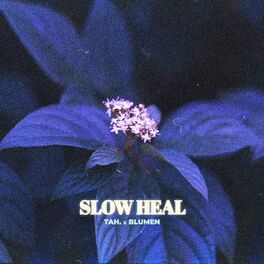 Album cover of Slow Heal