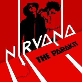 Album cover of Nirvana (Radio Edit)