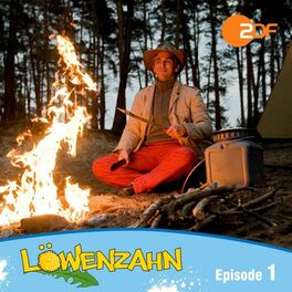 Album cover of Episode 01: Abenteuer Feuerland (Das Original Hörspiel zur TV-Serie)