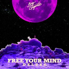 Album cover of Free Your Mind (Deluxe Version)
