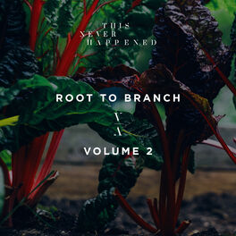 Album cover of Root to Branch, Vol. 2