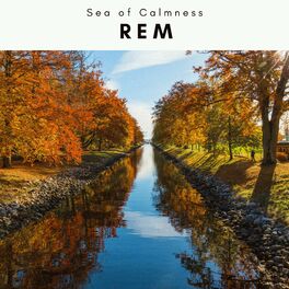 Album cover of 4 REM