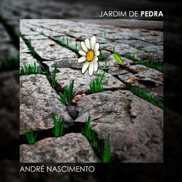 Album cover of Jardim de Pedra