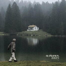 Album cover of haven