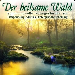 Album cover of Der heilsame Wald, Stimmungsvolle Naturgeräusche zur Entspannung oder als Hintergrundbeschallung