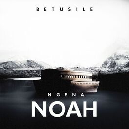 Album cover of Ngena Noah