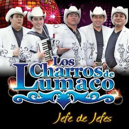 Album cover of Jefe de Jefes