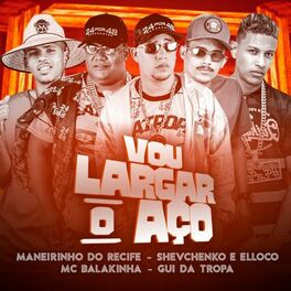 Album cover of Vou Largar o Aço
