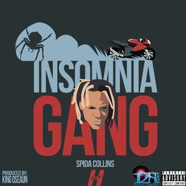 Album cover of Insomnia Gang