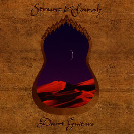 Album cover of Desert Guitars