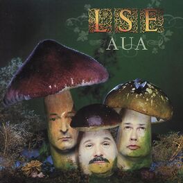 Album cover of Aua